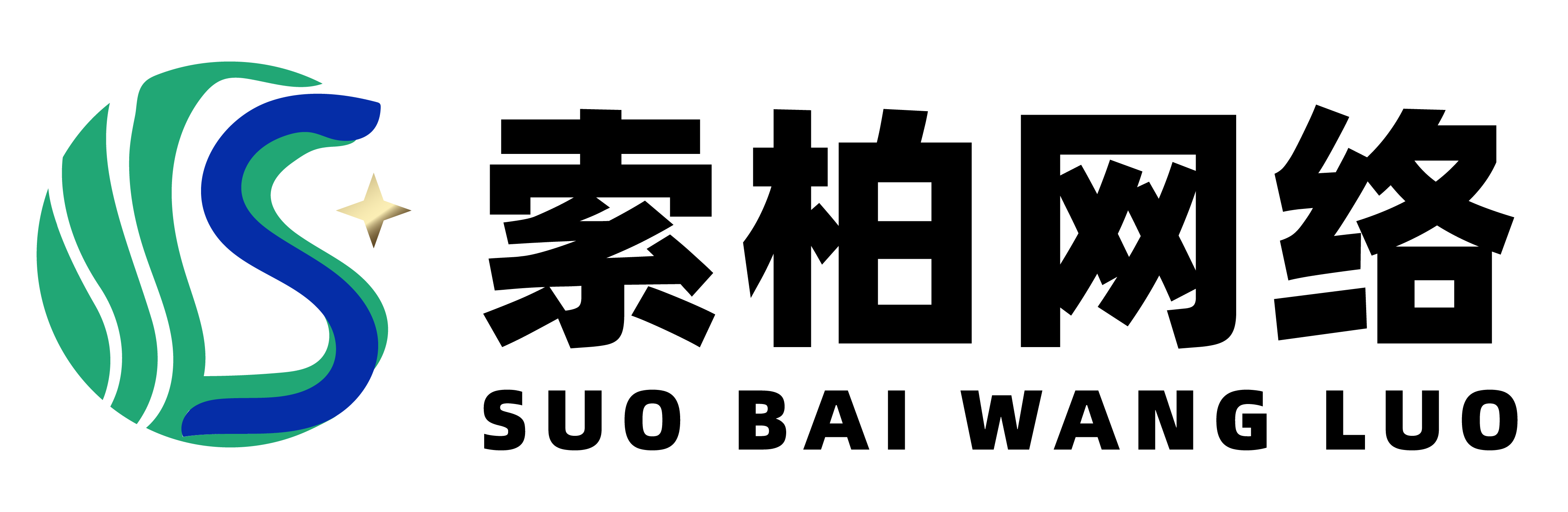 湖南索柏网络科技有限公司